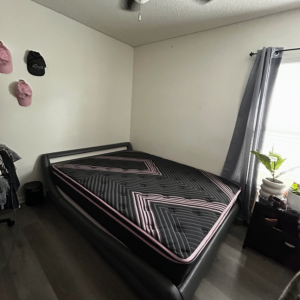 Queen Firm Mattress — Direct Ship Nationwide