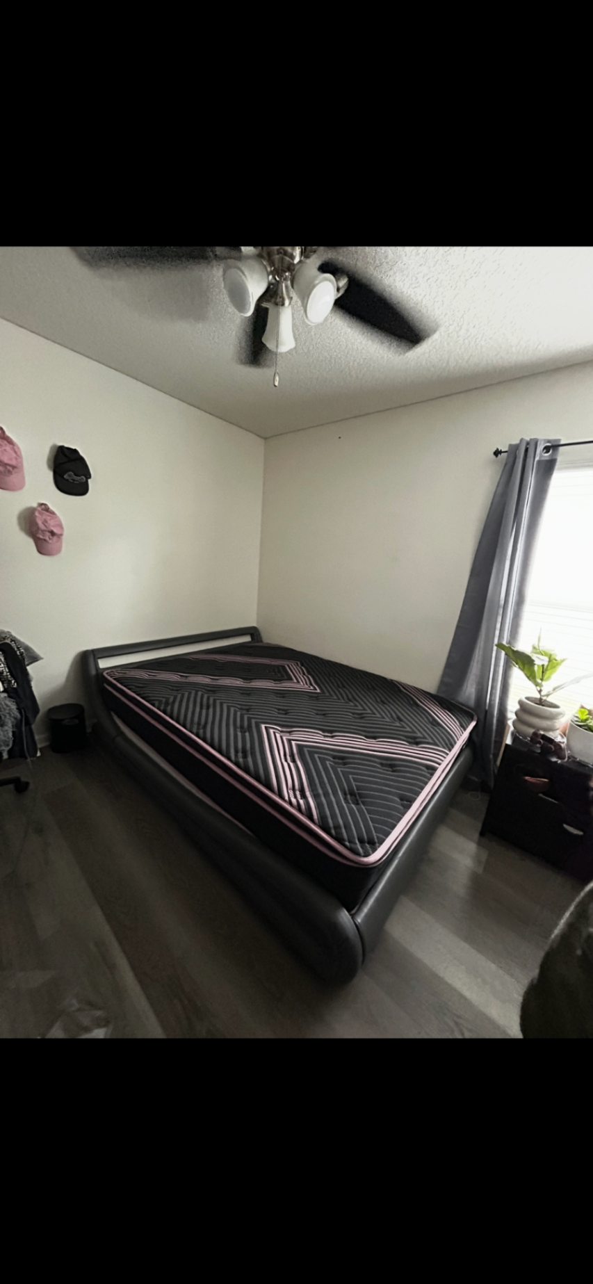 Queen Firm Mattress — Direct Ship Nationwide